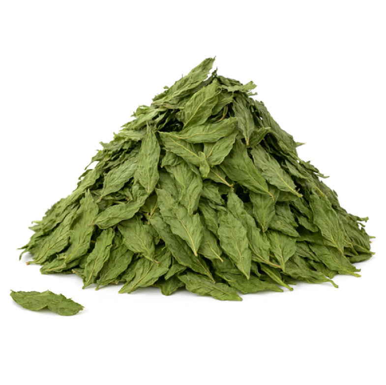 Molokhia leaves Jews Mallow